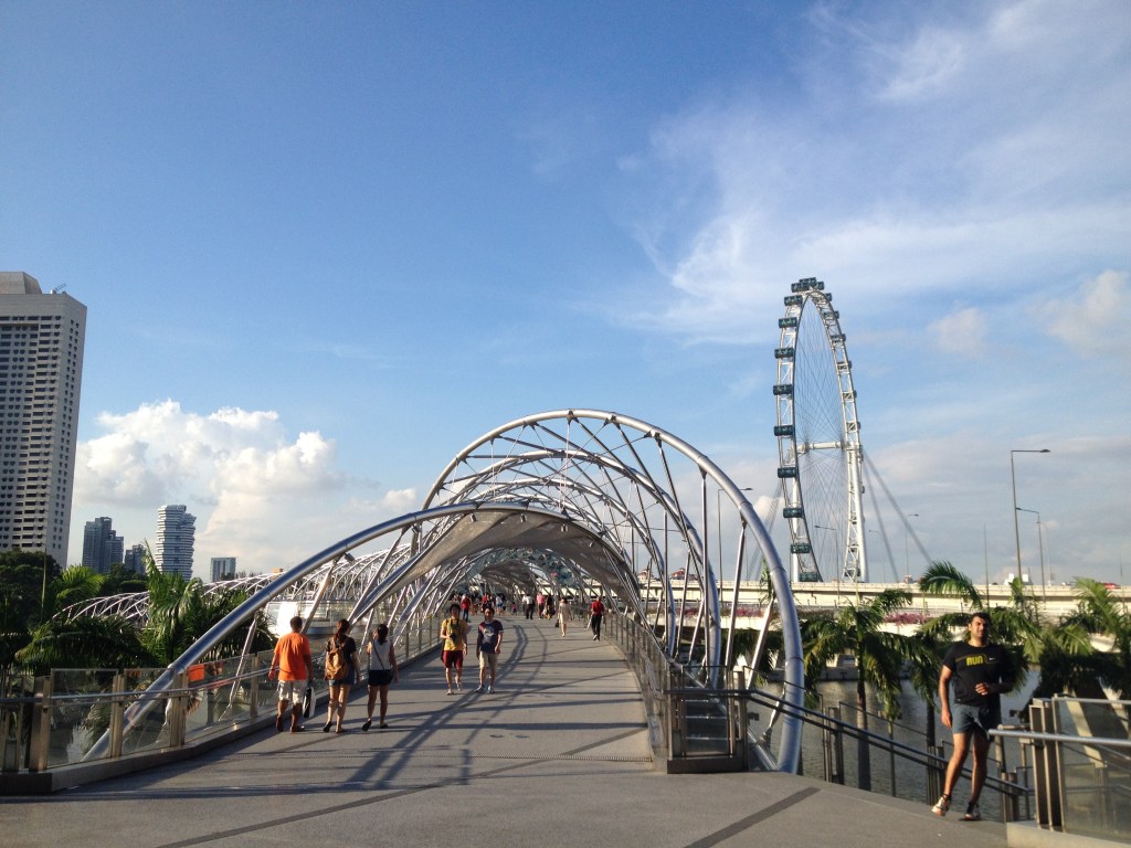 singapore flyer taken from Marina bay building complex