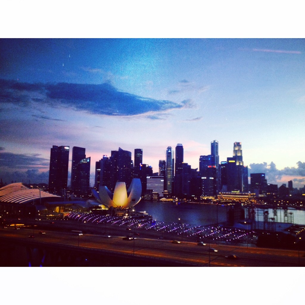 the view from the top of Singapore flyer